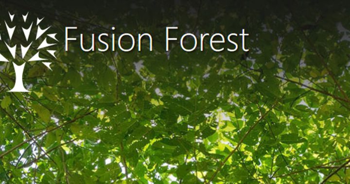 Fusion Forest actie Virdian Solar